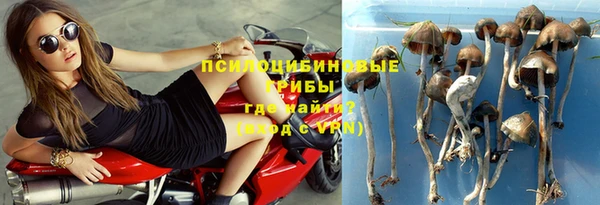 твердый Покачи