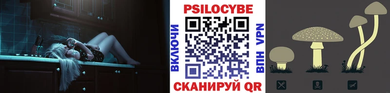 Галлюциногенные грибы Cubensis  Красавино 