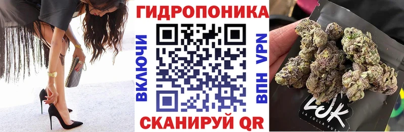 Бошки марихуана марихуана  Красавино 